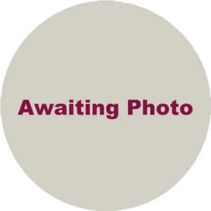 Deputy Chair’s Diary